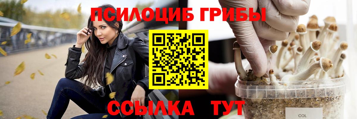 Галлюциногенные грибы Psilocybine cubensis Большой Камень